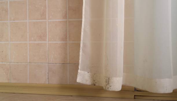Best Mold-Related Health Consultation  in Albany, GA