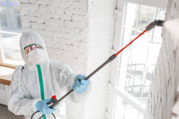 Best Real Estate Mold Inspection  in Albany, GA