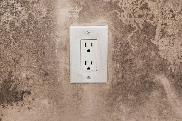 Best Forensic Mold Investigation  in Albany, GA