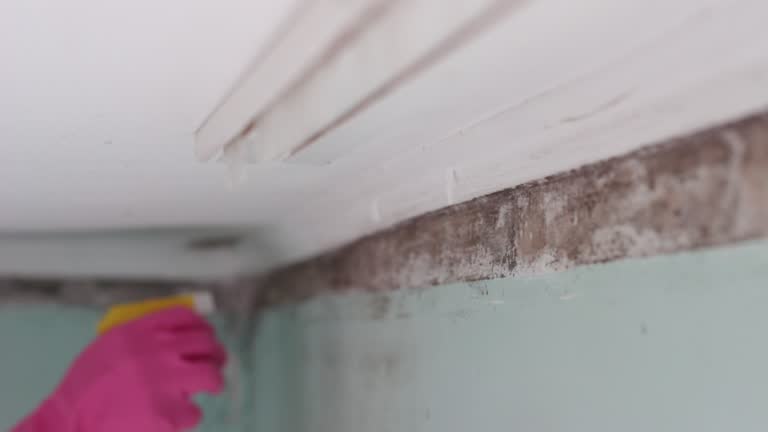 Best Biohazard Mold Removal  in Albany, GA